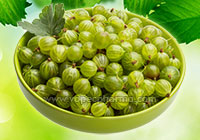 Ayurvedic Medicinal Properties of Amla 