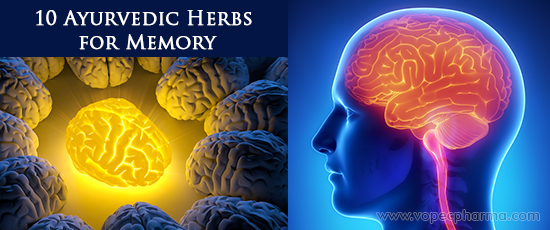 Ayurvedic Herbs for Memory