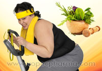 Fight Obesity