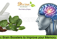 Ayurvedic Brain Boosters to Improve your Memory