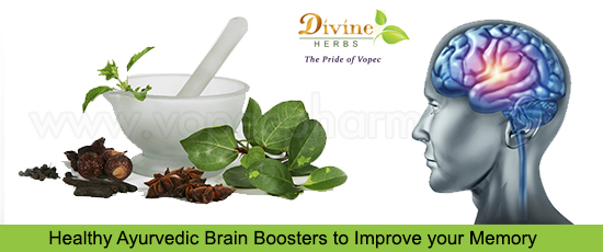 Ayurvedic Brain Boosters to Improve your Memory