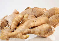  Ginger-Natural Ayurvedic Cough Syrup