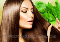 Spinach Miracle for Hair Growth