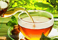  Green Tea Boosts Brain Health