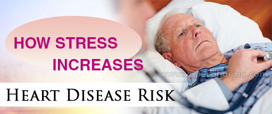 How Stress Increases Heart Disease Risk?