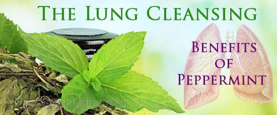 Lung Cleansing Benefits