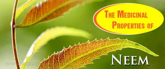 Medicinal Properties of Neem