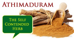 athimaduram-the-self-contended-herb