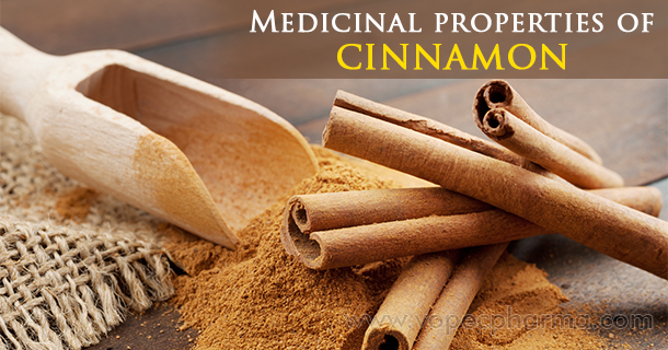 medicinal properties of cinnamon