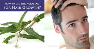how-to-use-bhringraj-oil-for-hair-growth