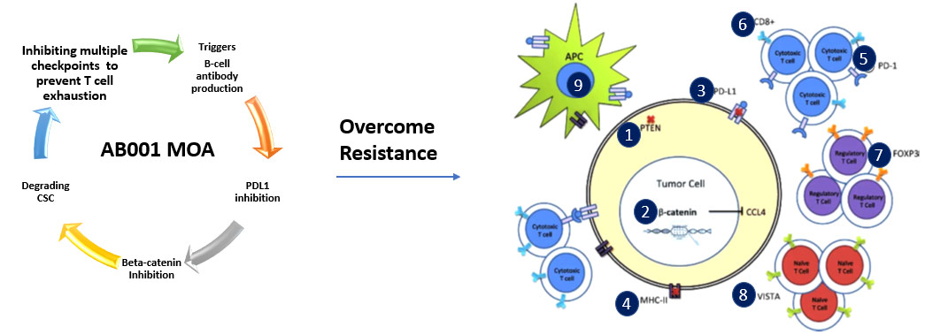 Immune Checkpoint Inhibitors