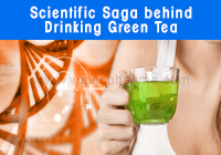 Drinking Green Tea