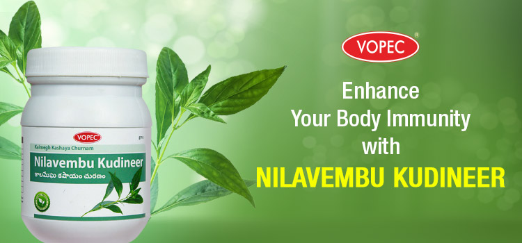 Enhance Your Body Immunity with Nilavembu Kudineer