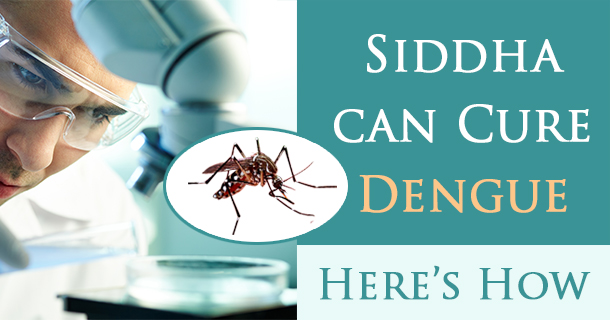 dengue attack