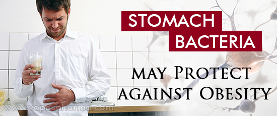 Stomach Bacteria may Protect against Obesity