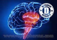 Vitamin D Causes Brain Damage