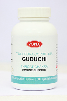 GUDUCHI